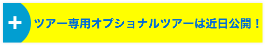 ツアー専用オプショナルツアーは近日公開！