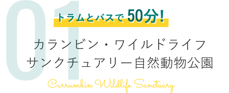 トラムとバスで50分